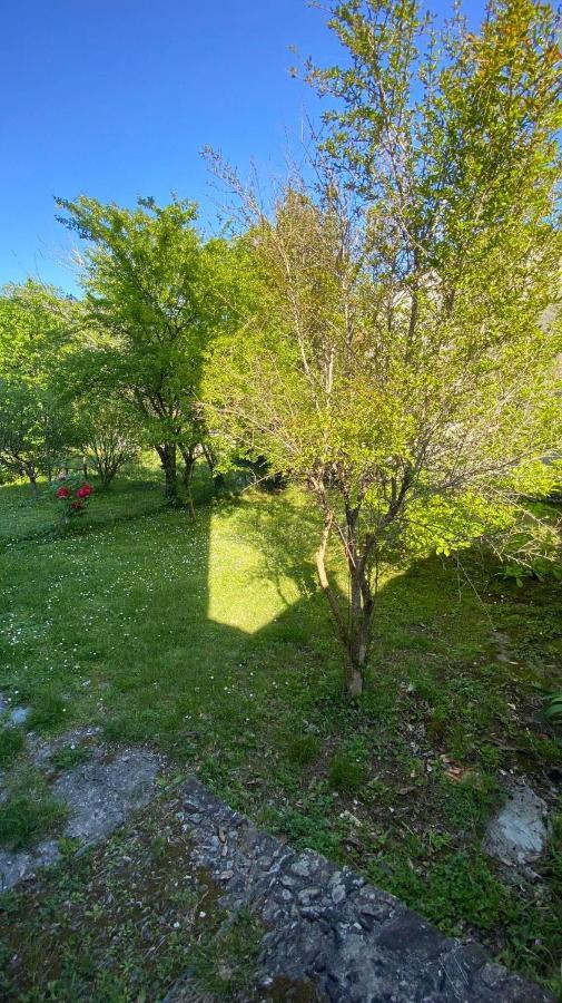 Villa Molinazzo Cicagna Bagian luar foto